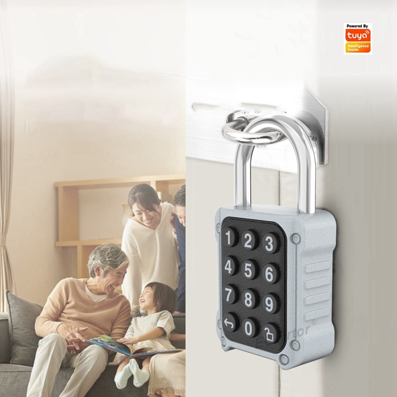 EGFirtor Tuya APP Electronic S - Lockbox Key Secure avaliação e preço